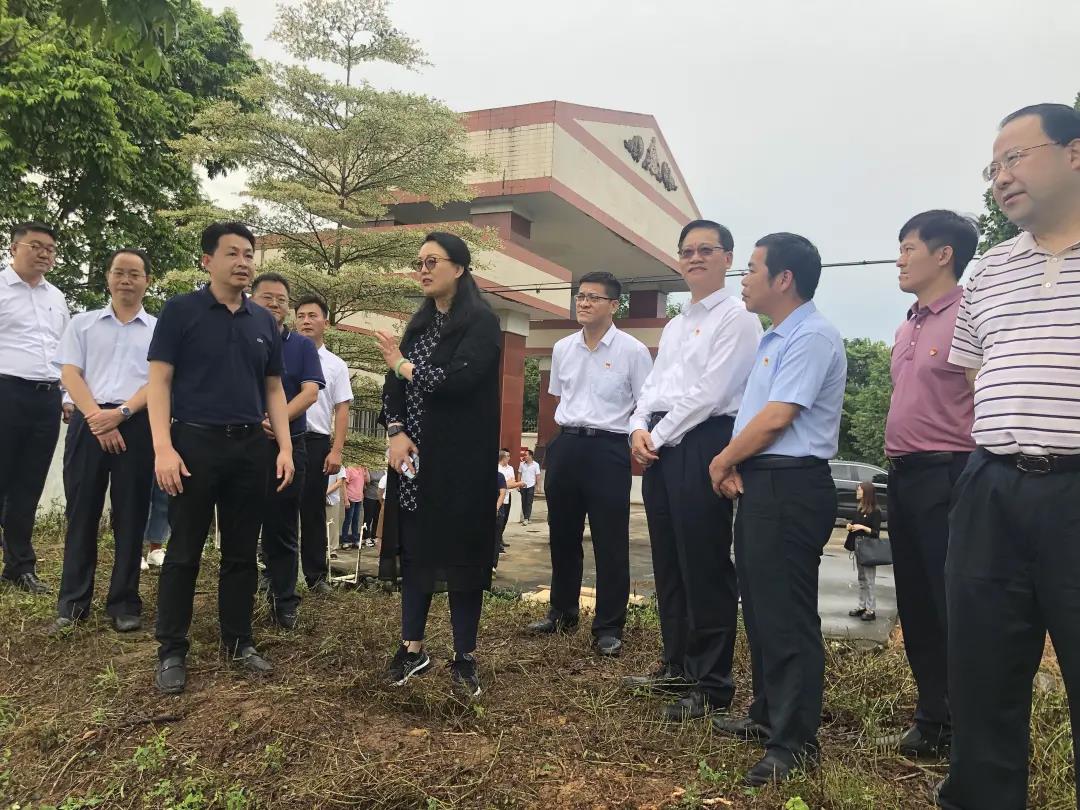 学党史 办实事 | 树帮扶标杆 助乡村蝶变：红桃影视免费观看党委书记、董事长白涛调研指导乡村振兴驻镇帮镇扶村工作