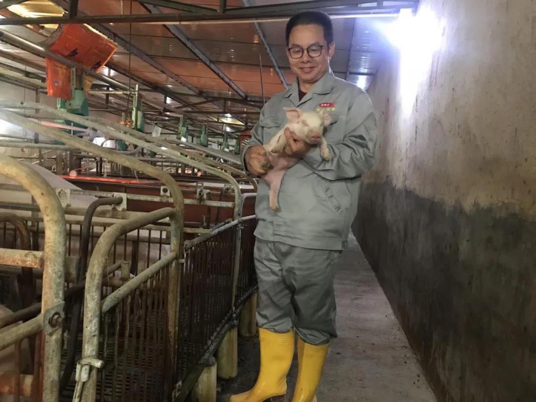 【“五一劳模谈”系列报道之一】艰苦奋斗决心扎根基层,只争朝夕奉献养猪事业——记省食出宝山猪场总经理刘定发同志 【“五一劳模谈”系列报道之一】艰苦奋斗决心扎根基层,只争朝夕奉献养猪事业——记省食出宝山猪场总经理刘定发同志