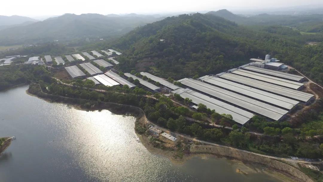 【“新广新 新风采”专题报道】省食品:在履职尽责中展现国企新风采 全力保障大湾区“菜篮子”工程 【“新广新 新风采”专题报道】省食品:在履职尽责中展现国企新风采 全力保障大湾区“菜篮子”工程