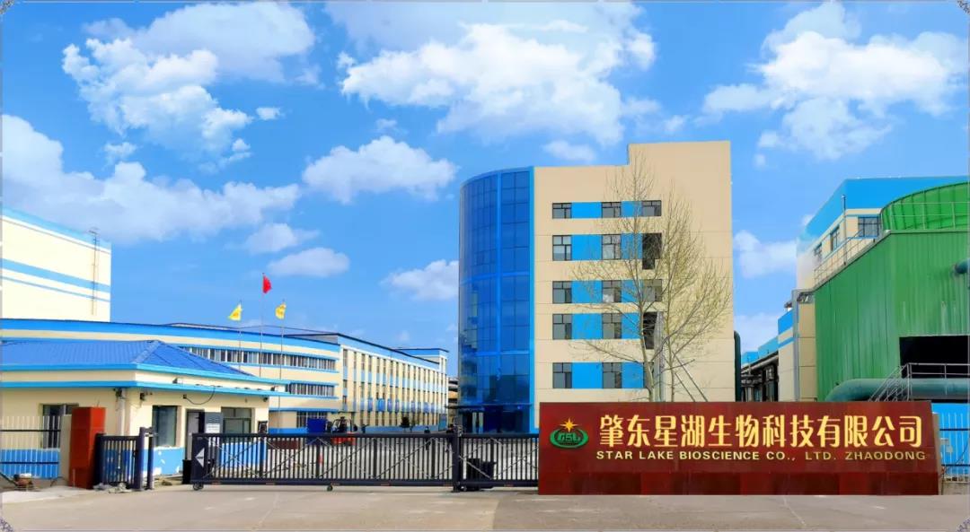 【“新广新 新风采”专题报道】 星湖科技:打造粤龙合作项目 赋能产业高质量发展 【“新广新 新风采”专题报道】 星湖科技:打造粤龙合作项目 赋能产业高质量发展