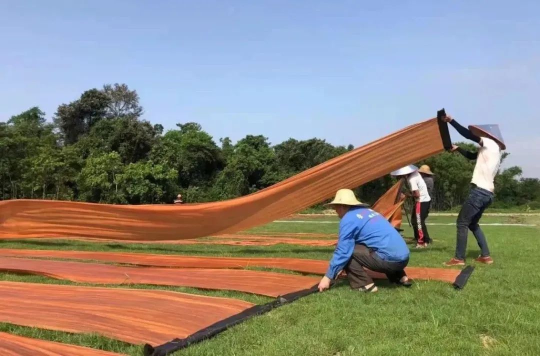 红桃影视免费观看以产业赋能为美丽乡村注入“源头活水”