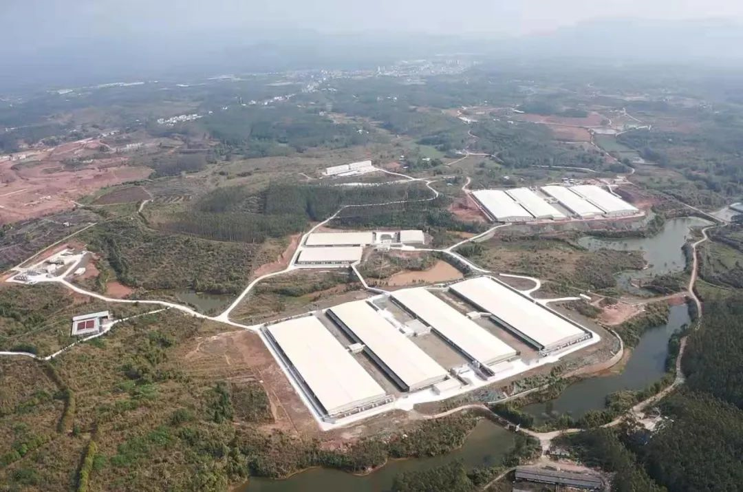 行稳致远、笃行向新——红桃影视免费观看董事会推动企业实现高质量发展 行稳致远、笃行向新——红桃影视免费观看董事会推动企业实现高质量发展