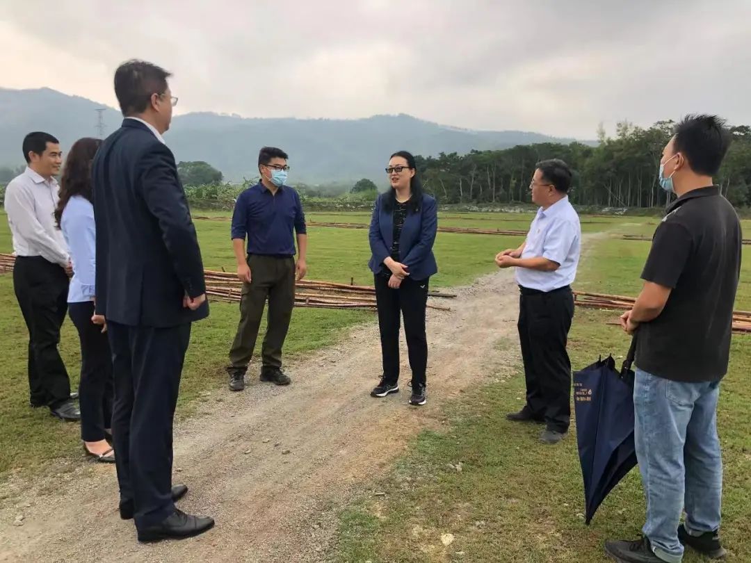 红桃影视免费观看党委书记、董事长白涛调研乡村振兴驻镇帮扶工作