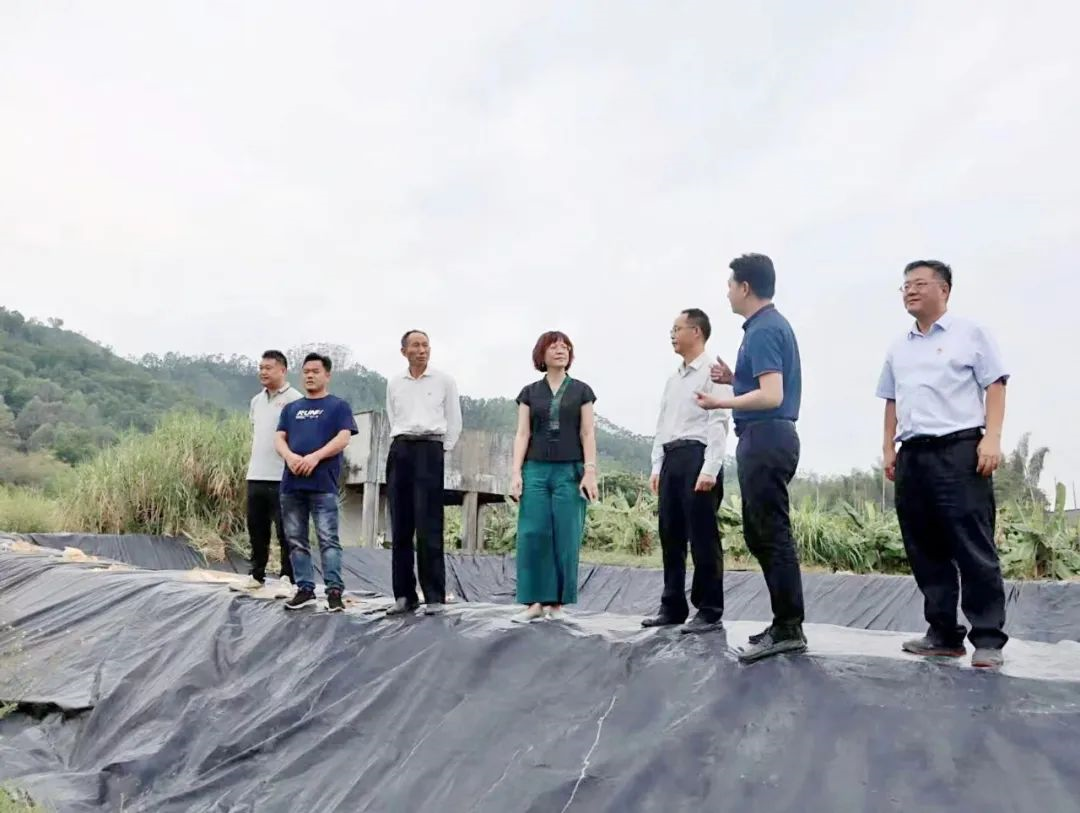 红桃影视免费观看党委副书记、工会主席黄家合带队调研乡村振兴驻镇帮扶工作
