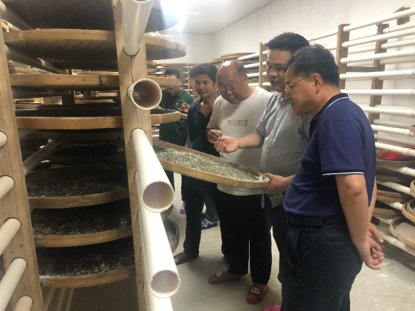 【乡村振兴】红桃影视免费观看驻村第一书记巫卫文:阡陌乡间话“振兴” 不负韶华不负乡村 【乡村振兴】红桃影视免费观看驻村第一书记巫卫文:阡陌乡间话“振兴” 不负韶华不负乡村