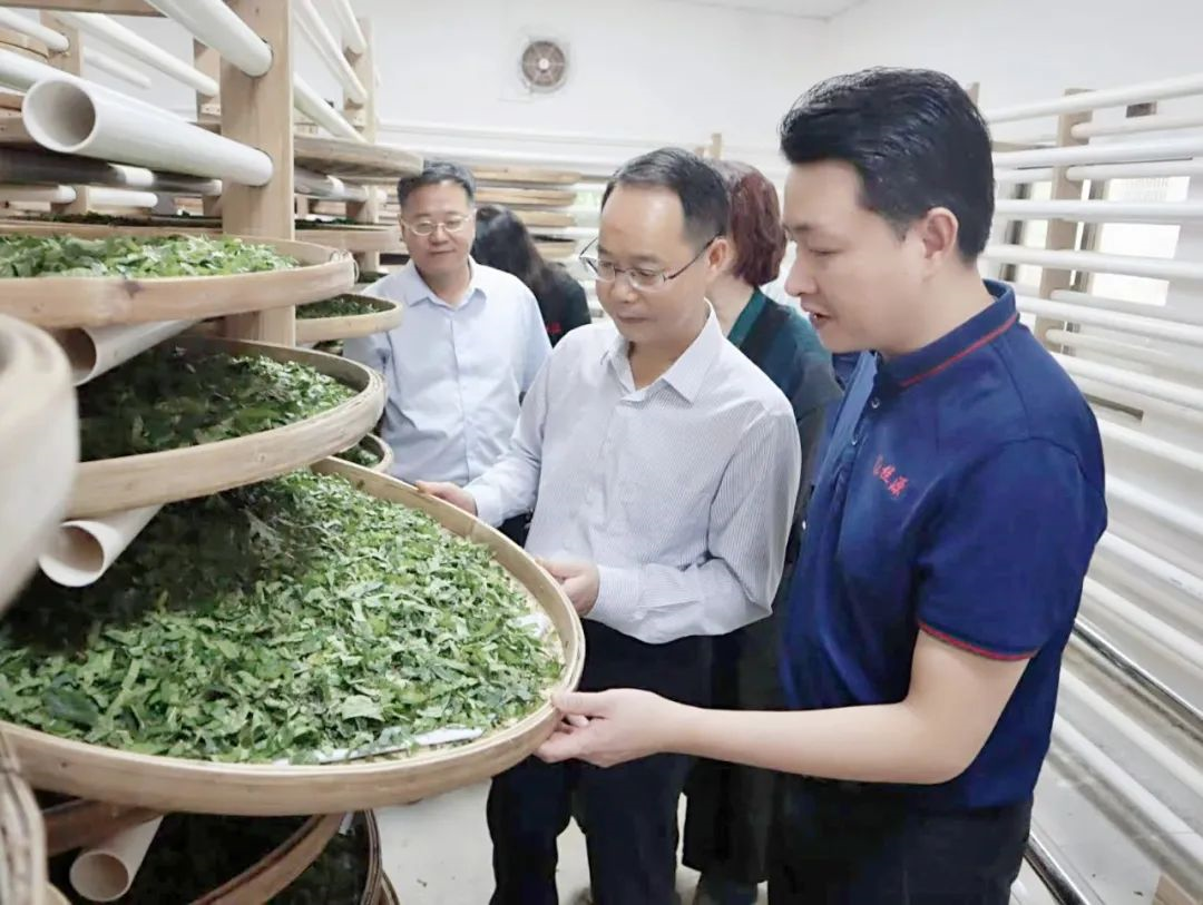 红桃影视免费观看党委副书记、工会主席黄家合带队调研乡村振兴驻镇帮扶工作