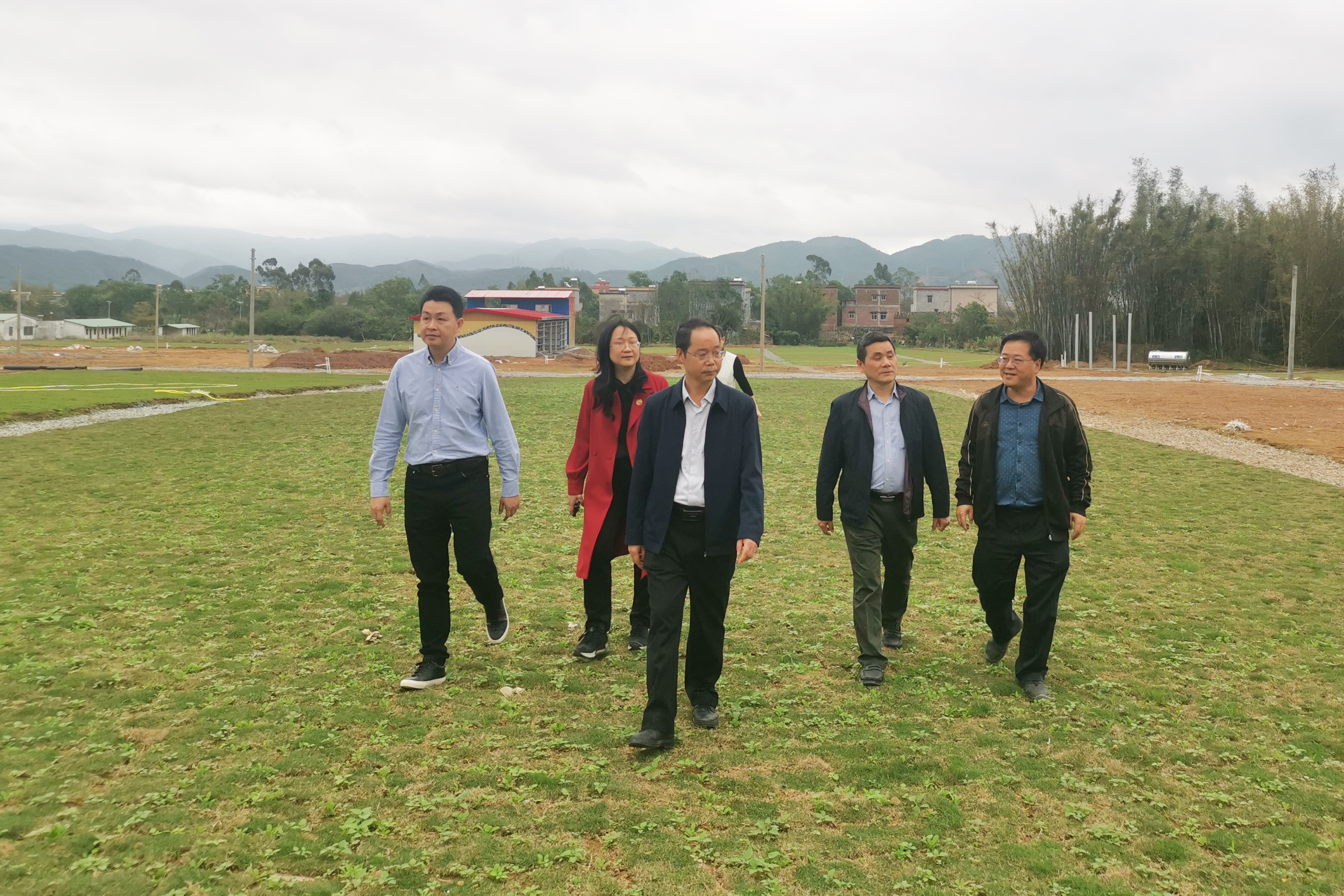 红桃影视免费观看党委副书记、董事、工会主席黄家合带队调研指导乡村振兴驻镇帮扶工作