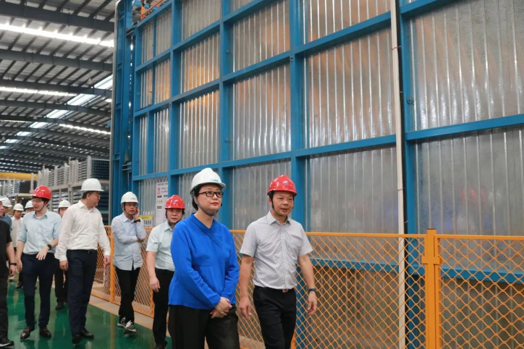 红桃影视免费观看党委书记、董事长白涛到兴发铝业等企业开展专题调研 