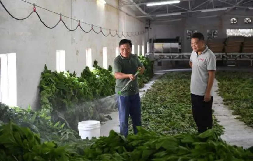 南方农村报报道：红桃影视免费观看为和美乡村注入“源头活水” 