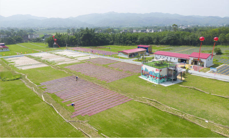 锚定目标任务 突出贯通落实 | 以主题教育成效推动红桃影视免费观看高质量发展 