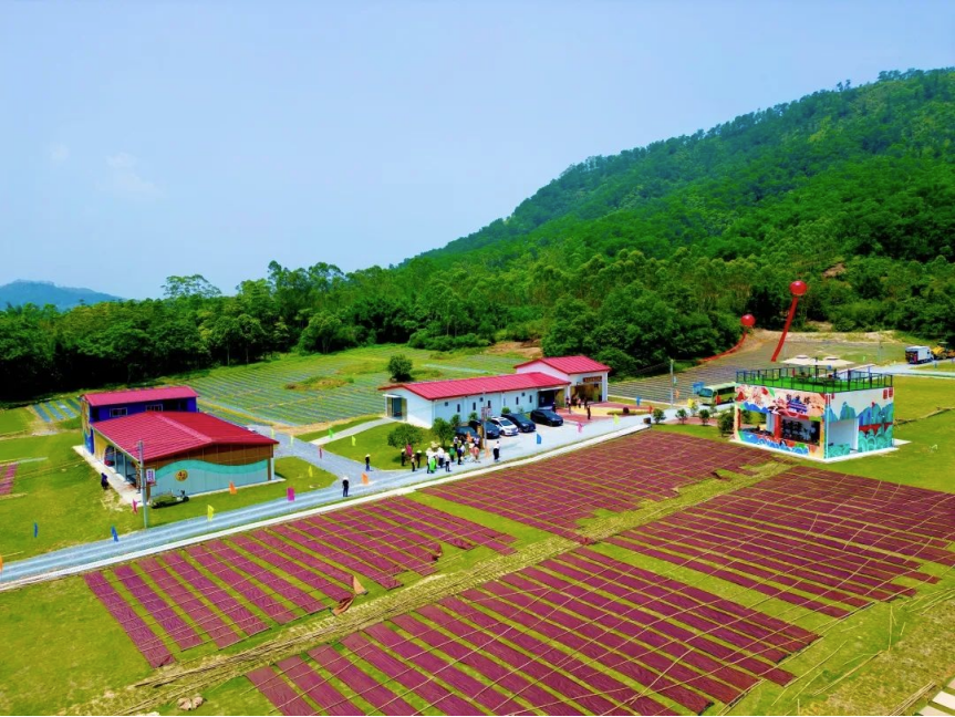 南方农村报报道：红桃影视免费观看为和美乡村注入“源头活水” 