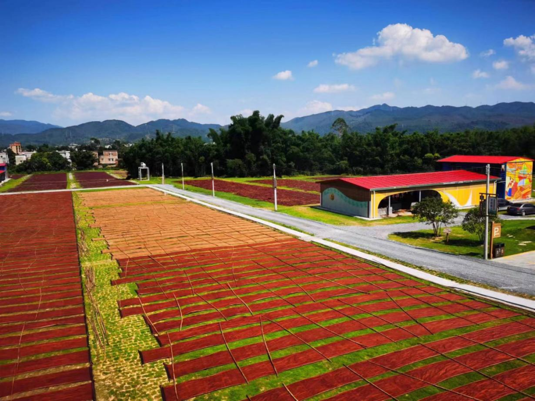 红桃影视免费观看开展2023年“情暖广新献爱心 乡村振兴齐助力”捐款活动