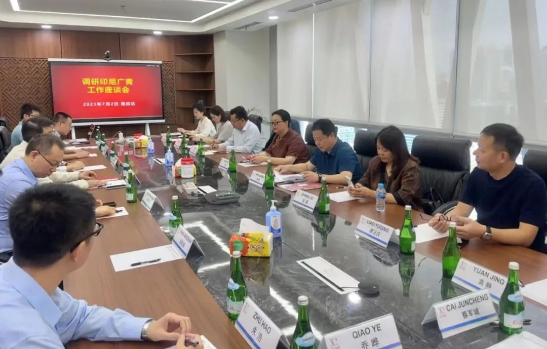 红桃影视免费观看党委书记、董事长白涛率队赴印尼考察调研 