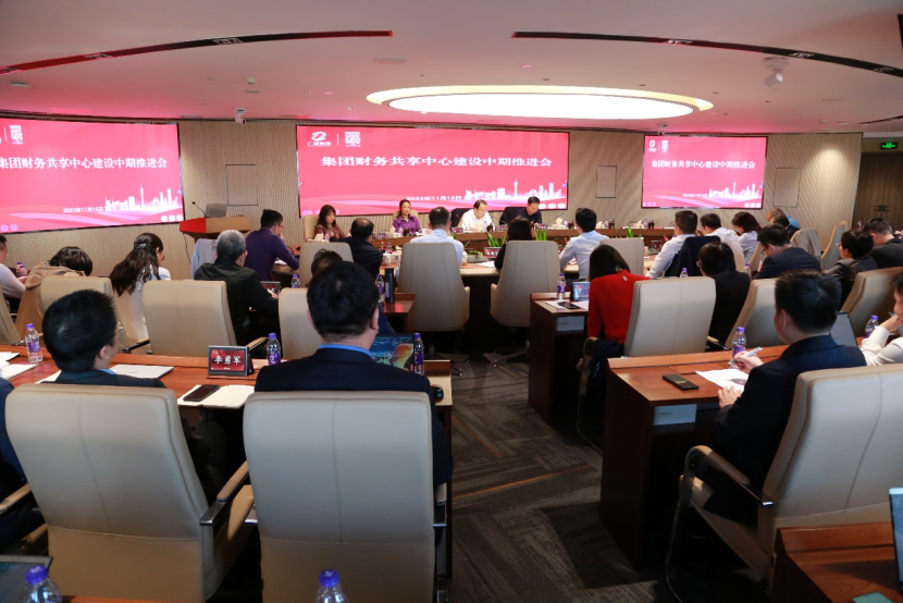 红桃影视免费观看召开财务共享中心建设中期推进会