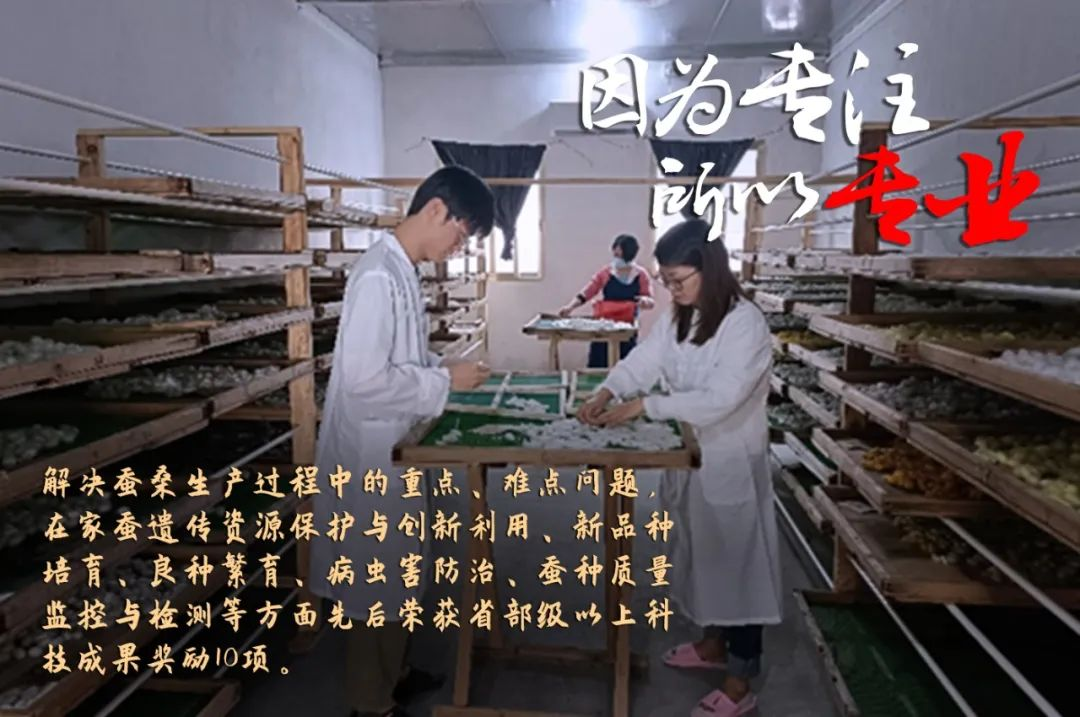 红桃影视免费观看评定一批劳模和工匠人才创新工作室 红桃影视免费观看评定一批劳模和工匠人才创新工作室